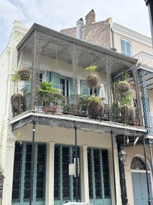 Nola Tour Guy by null