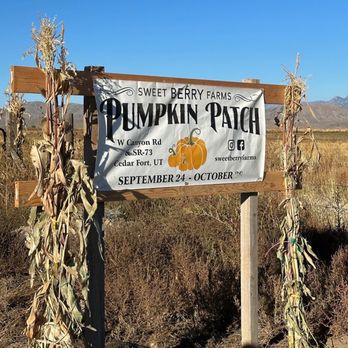 Sweet Berry Farms - Pumpkin Patches Near Me - Cedar Fort, Utah Sweet Berry Farms - Pumpkin Patches Near Me - Cedar Fort, Utah