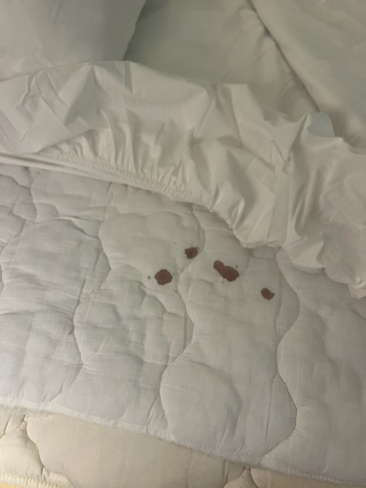 SONESTA SELECT Updated May 2024 52 Photos 48 Geoffrey Dr, Newark, Delaware Hotels