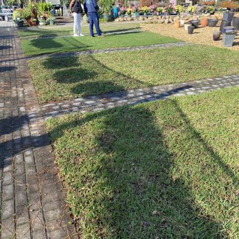 Durbin Creek Nursery - Nurseries & Gardening Near Me - Saint Johns, Florida Durbin Creek Nursery - Nurseries & Gardening Near Me - Saint Johns, Florida