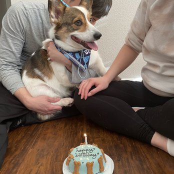 Biscuits Pet Boutique - Birthday boy! - Pet Stores Near Me - San Jose, California Biscuits Pet Boutique - Birthday boy! - Pet Stores Near Me - San Jose, California