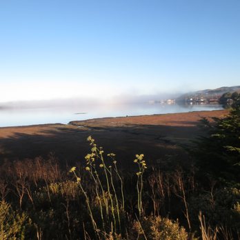 Bird Walk Coastal Access Trail - Parks Near Me - Bodega Bay, California Bird Walk Coastal Access Trail - Parks Near Me - Bodega Bay, California