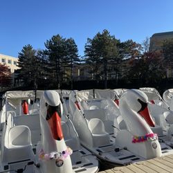 Wheel Fun Rentals - Canal Walk