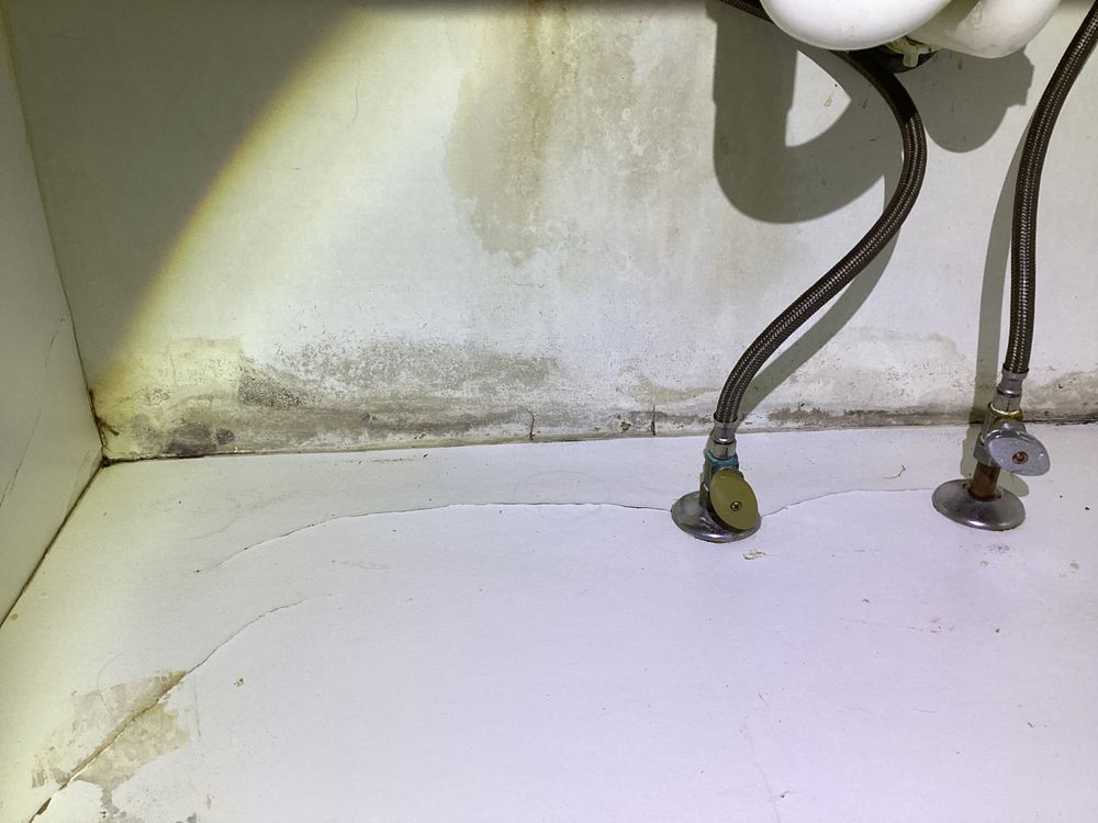 All Alert Home Inspections - mold inspector in Newnan, GA