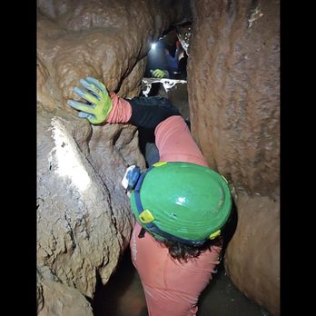 Sims Cave Park - Tours Near Me - Warrior, Alabama Sims Cave Park - Tours Near Me - Warrior, Alabama