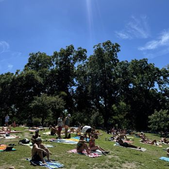 Barton Springs Pool - Swimming Pools Near Me - Austin, Texas