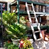 Conrad Smith Nursery gift card