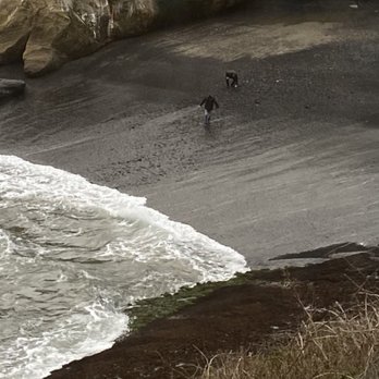 Tidal Raves - Agates hunters! - New American Near Me - Depoe Bay, Oregon