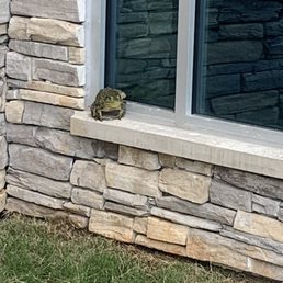 Found this friend outside the main lobby Found this friend outside the main lobby