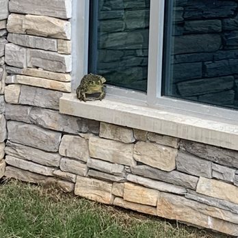Hyatt Place Austin / Cedar Park - Found this friend outside the main lobby - Hotels Near Me - Cedar Park, Texas Hyatt Place Austin / Cedar Park - Found this friend outside the main lobby - Hotels Near Me - Cedar Park, Texas