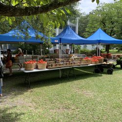 The Waterfront Market