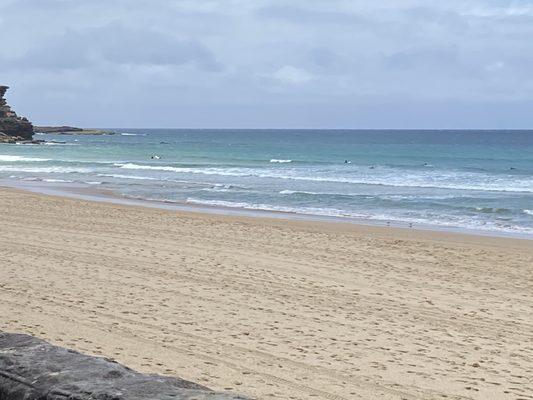 Manly Beach by null