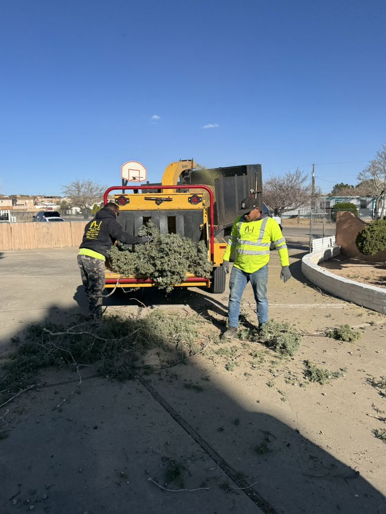 A- 1 Tree And Hauling Services - tree service in Albuquerque, NM