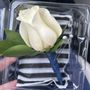 Photo of Blooms of Dunwoody