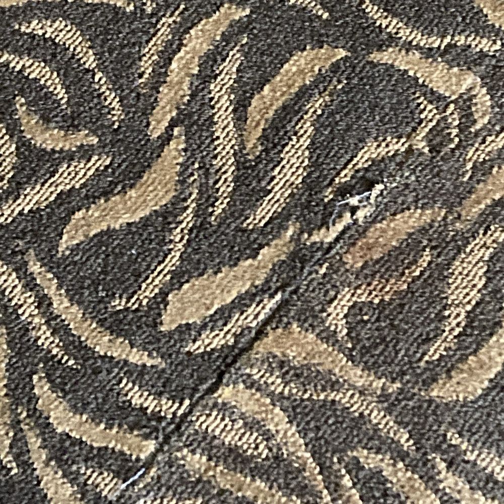 The Marx - Torn carpet - Hotels Near Me - Oneonta, New York