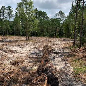 Swamp Gator ULM - What we really got! - Tree Services Near Me - Sanderson, Florida