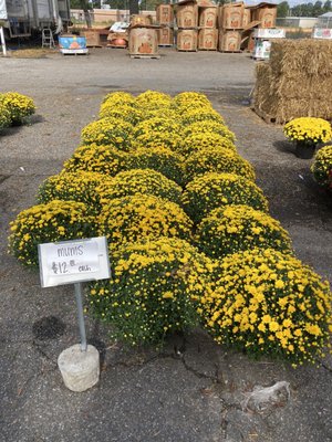 Pee Dee State Farmers Market by null