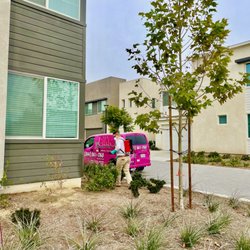 Pink Xterminators - Our technicians are trained to be purposeful when performing applications. Everyone is responsible for the environment,but nobody wants ants