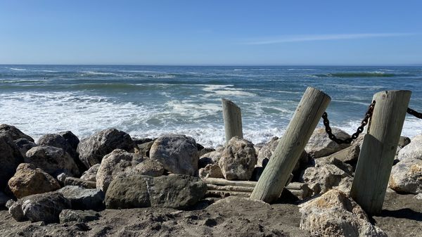 Pacific Java Cafe by null