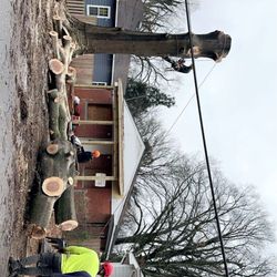 E And C Tree Service
