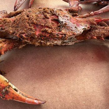 Mikes Crab House North - Large crab - Seafood Near Me - Pasadena, Maryland Mikes Crab House North - Large crab - Seafood Near Me - Pasadena, Maryland