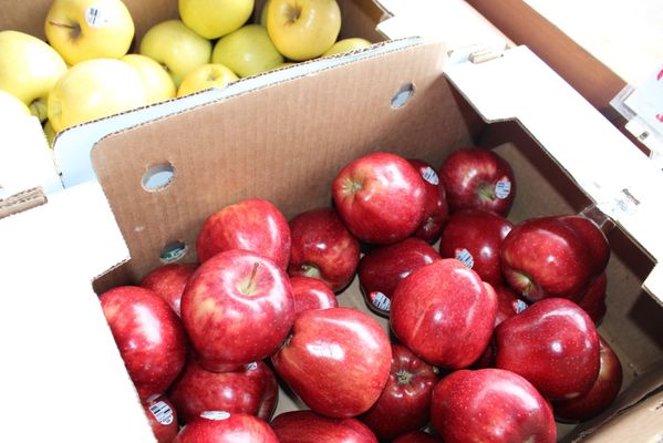 Larsen Lake Blueberry Farm by null