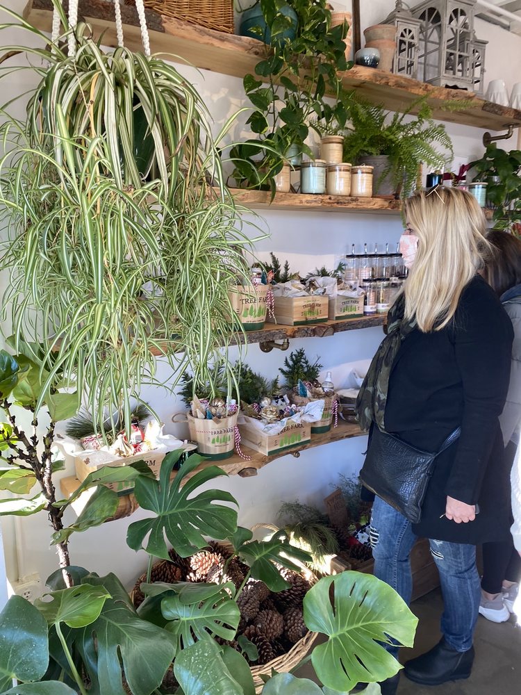 SAGE GREEN FLORAL SHOP 2900 Orchard Lake Rd, Keego Harbor, Michigan