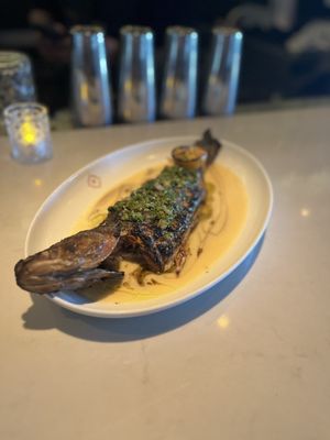 The Rex Steakhouse by null
