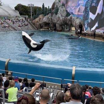 Orca Encounter - WOW!!! - Amusement Parks Near Me - San Diego, California