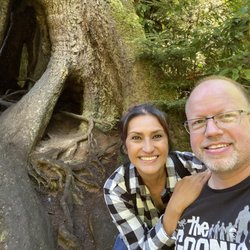 Cathedral Tree