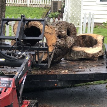 L & S Tree Service - Tree Services Near Me - West Point, Kentucky L & S Tree Service - Tree Services Near Me - West Point, Kentucky