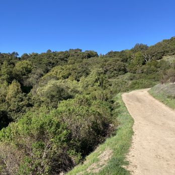 Almaden Quicksilver County Park - Beautiful day! - Parks Near Me - San Jose, California Almaden Quicksilver County Park - Beautiful day! - Parks Near Me - San Jose, California