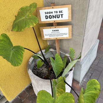 Holey Grail Donuts - More marketing at the door! - Donuts Near Me - Long Beach, California Holey Grail Donuts - More marketing at the door! - Donuts Near Me - Long Beach, California