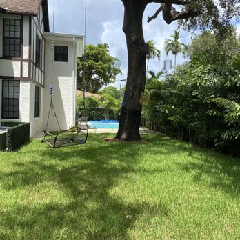 AR Landscape Design - Backyard after with fishtail palms on the fence line, trimmed live oak, new grass, swing, and birdcages - Landscape Architects or Designers Near Me - Miami, Florida AR Landscape Design - Backyard after with fishtail palms on the fence line, trimmed live oak, new grass, swing, and birdcages - Landscape Architects or Designers Near Me - Miami, Florida