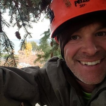 Wild Side Tree Care - Photo - Tree Services Near Me - Calgary, Alberta Wild Side Tree Care - Photo - Tree Services Near Me - Calgary, Alberta