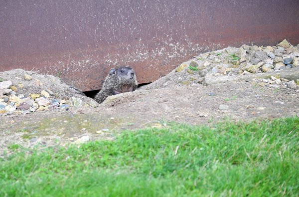 Historic Fort Snelling by null