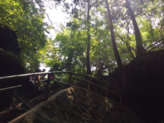 Narusawa Ice Cave by null