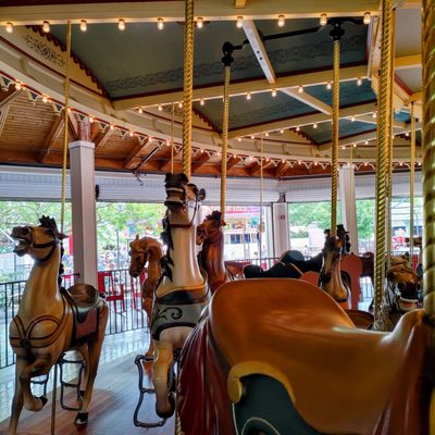 Seabreeze Amusement Park by null