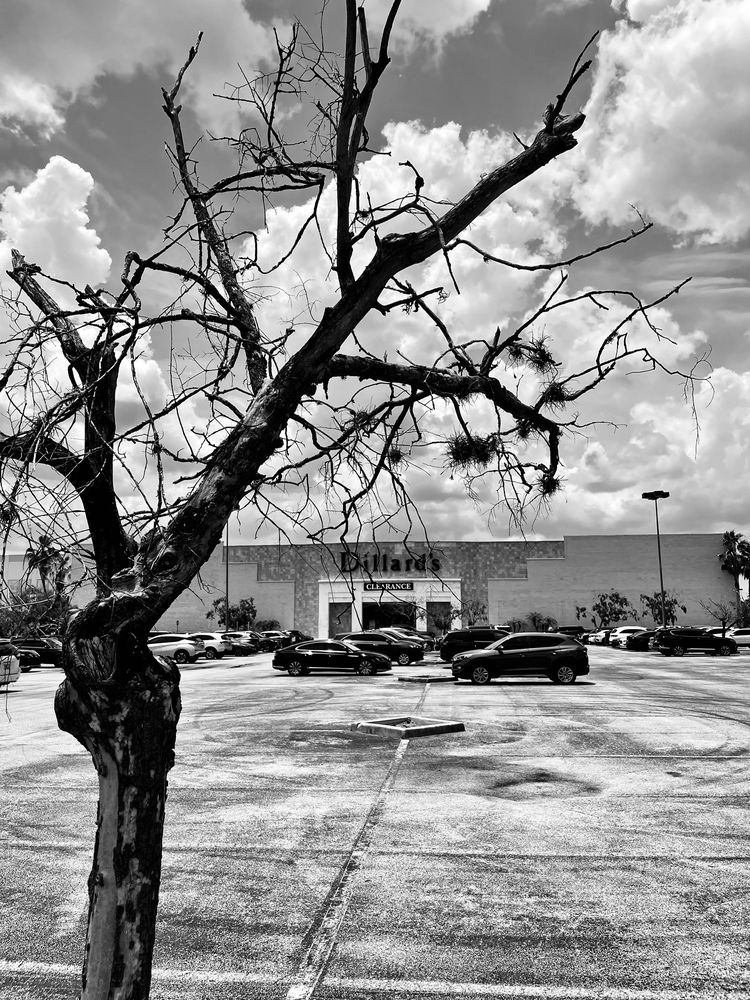 Orlando Fashion Square Image