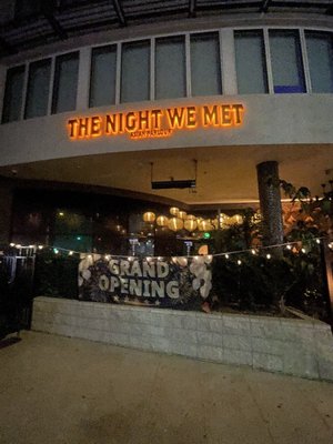 The Night We Met by null