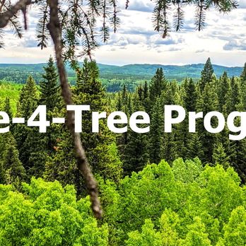 True North Tree Services - Tree Services Near Me True North Tree Services - Tree Services Near Me