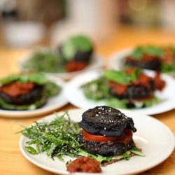 Wild Food Cafe