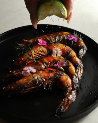 Verbena Food & Drink by null