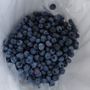 Photo of Stutzman Farms U-Pick Blueberries