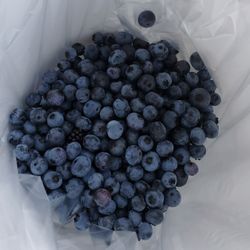 Stutzman Farms U-Pick Blueberries