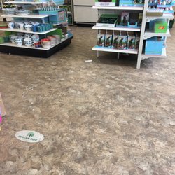 Dollar Tree - Trash on the floor everywhere you look. It doesn't look like they cleaned up in months.
