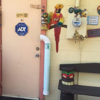Sno Hut - a pink door with a parrot on it - Ice Cream & Frozen Yogurt Near Me - Merritt Island, Florida