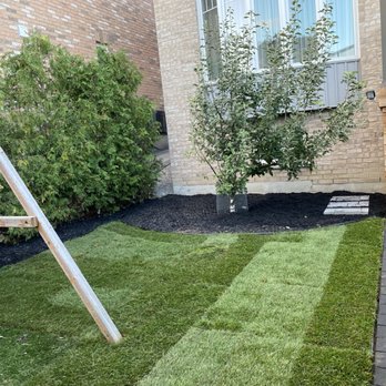 Yourview Landscaping - Backyard landscape design/ new sod - Landscaping Near Me