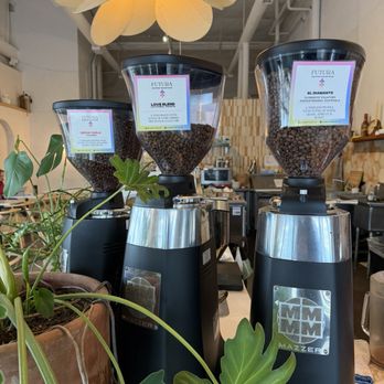 Futura Coffee Roasters - Coffee Roasteries Near Me - Portland, Oregon Futura Coffee Roasters - Coffee Roasteries Near Me - Portland, Oregon