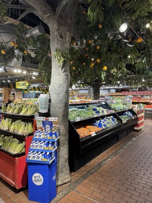 Stew Leonard's by null